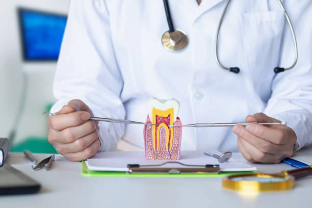 Best Emergency TMJ Treatment in Vienna, IL